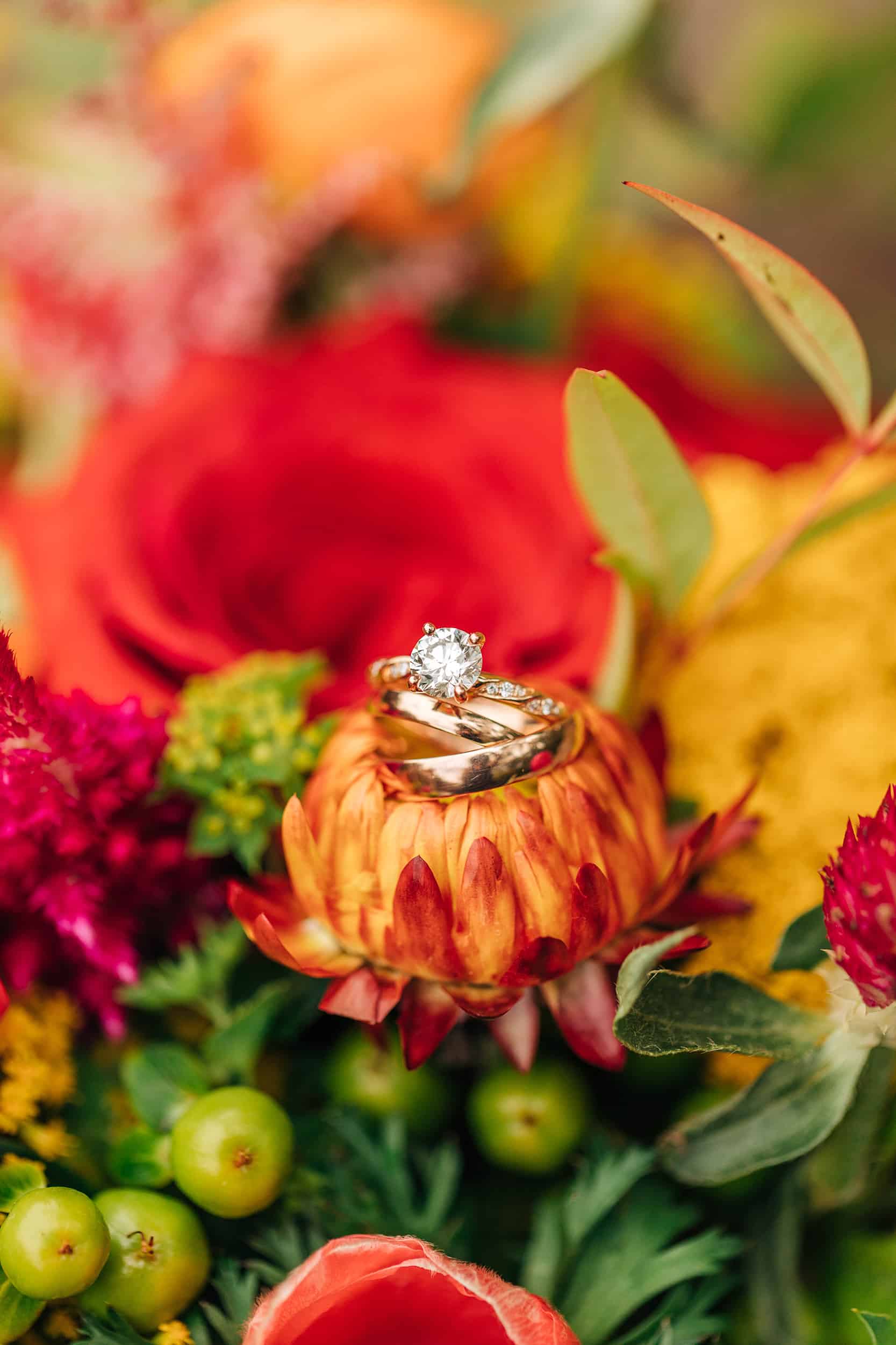 Wedding rings on colorful flowers